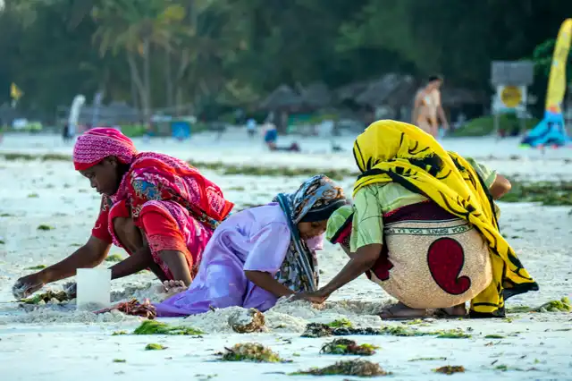 Darajani Market, Stone Town
