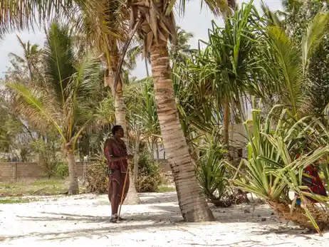 A working spice farm near Stone Town