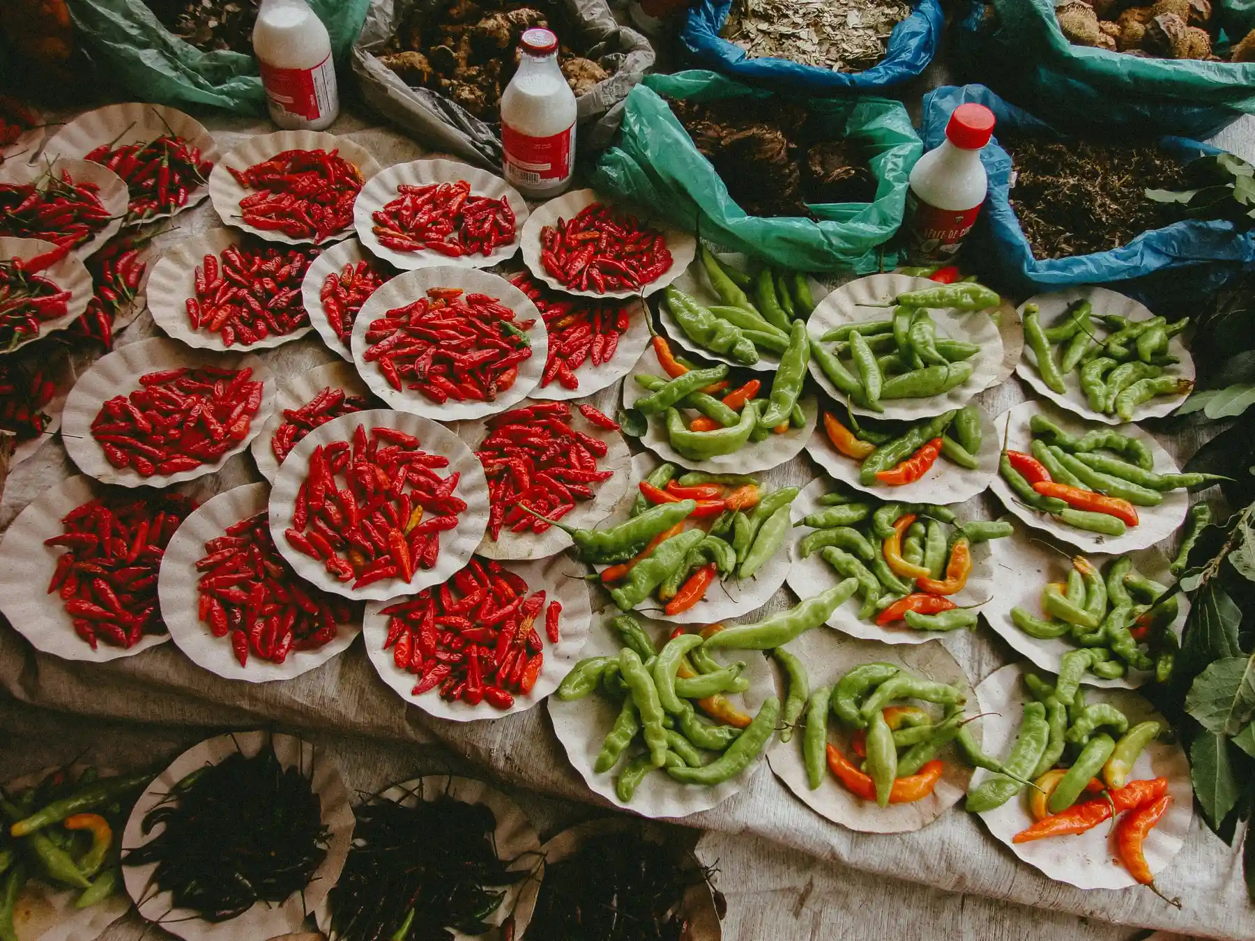 Fresh red chilies