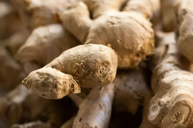 Fresh ginger root